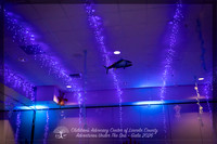 cac_gala-2026-8