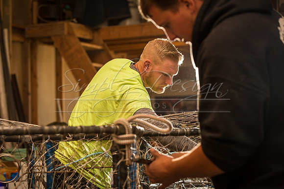 Jerry_Crab_2017-6