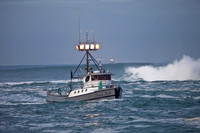 IMG_0028-17
