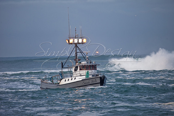 IMG_0028-17
