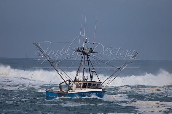 IMG_0006-3