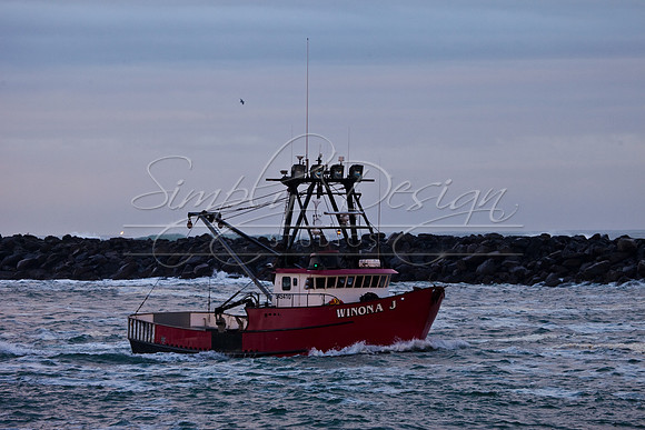 IMG_9923-311