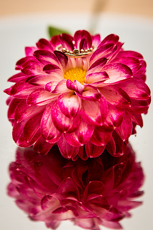 Tiffany_Brent_Wedding-186