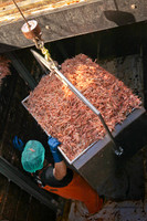 IMG_8007-Edit
