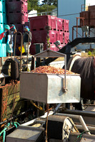 IMG_8053-Edit