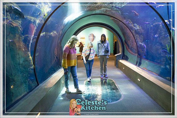 OCR-2024_web-112