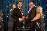 Festival_of_the_Trees_2017-9