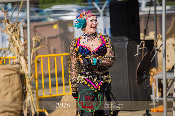 Cider_Festival_2019-24