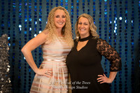 Festival_of_the_Trees_2017-18