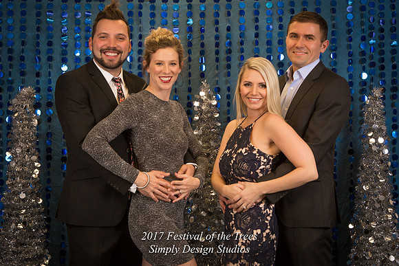 Festival_of_the_Trees_2017-8