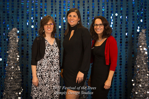 Festival_of_the_Trees_2017-28