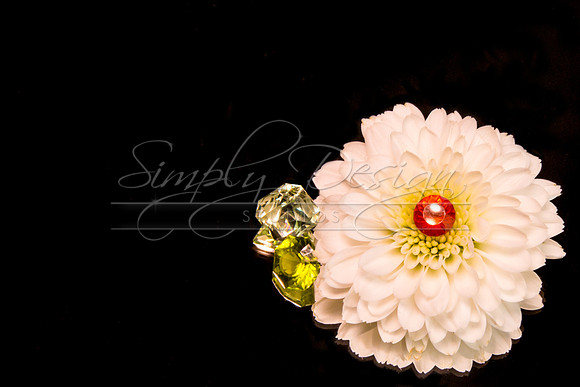 SJ_Jewelers-35