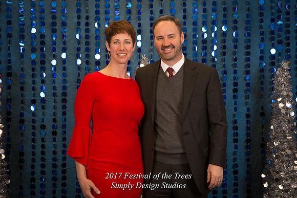 Festival_of_the_Trees_2017-3