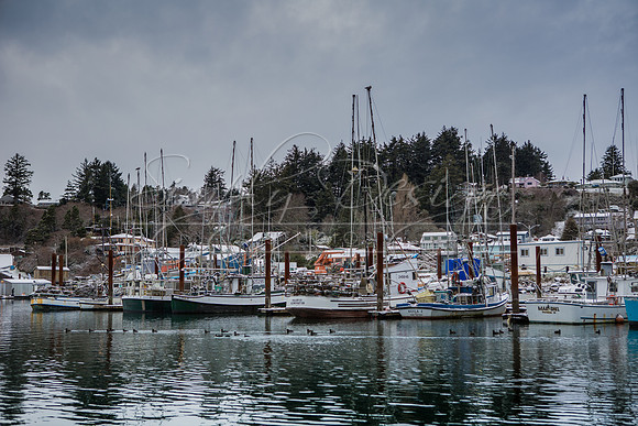 1.4.17_Snow_Day-7