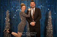 Festival_of_the_Trees_2017-7