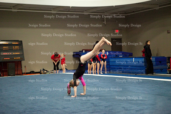 IMG_5236-Edit-340