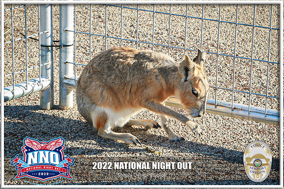 NationalNightOut_2022-72