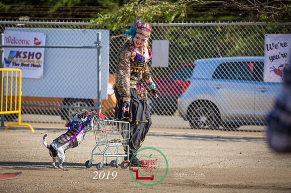 Cider_Festival_2019-2
